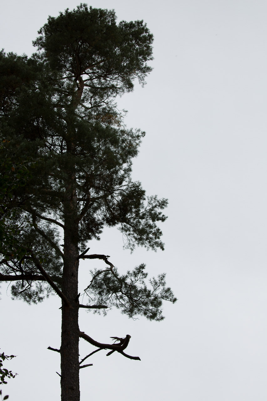 20231014100727 3K6A2208